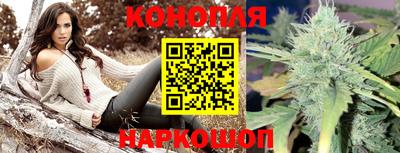 индика Шебекино