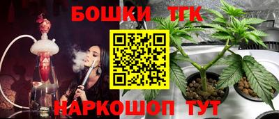 индика Шебекино