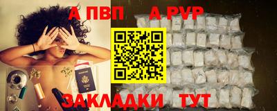 индика Шебекино