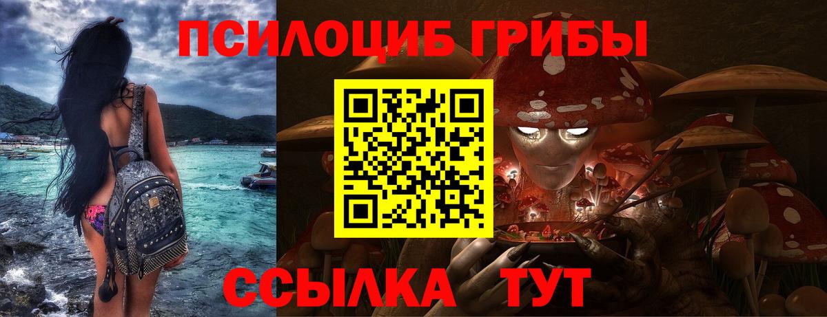 Сыктывкар  Псилоцибиновые грибы мицелий  Вход с VPN  сколько стоит  Псилоцибиновые грибы прущие грибы 